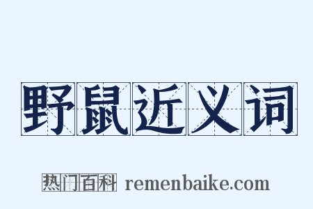 野鼠近义词是什么意思的图片